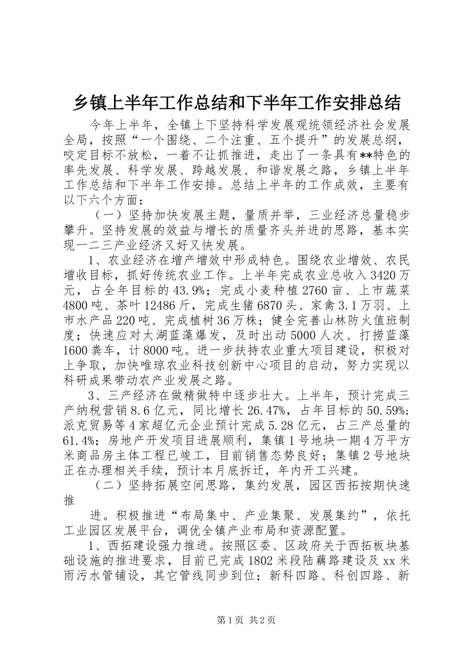 乡镇上半年工作总结和下半年工作安排总结_第1页