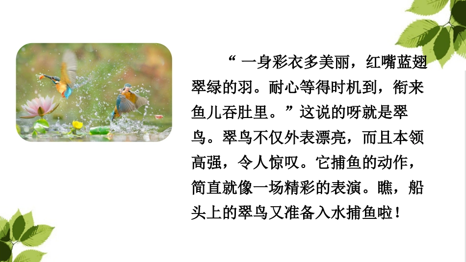 15.搭船的鸟(部编版)_第2页