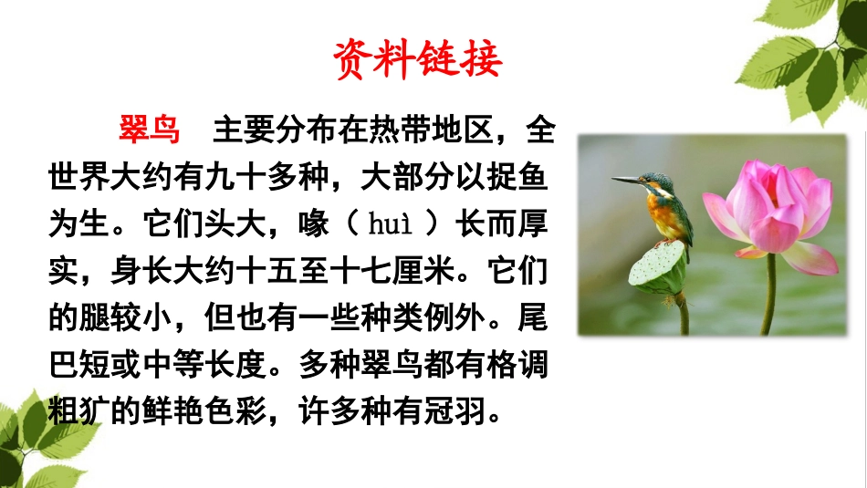 15.搭船的鸟(部编版)_第3页