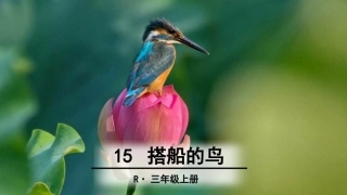 15.搭船的鸟(部编版)
