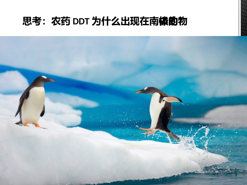 1.2.3生物圈是最大的生态系统 李_第2页