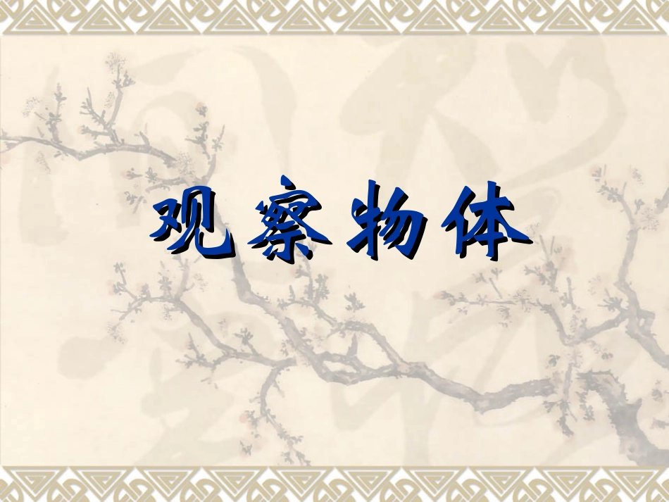 《观察物体》课件之一_第1页