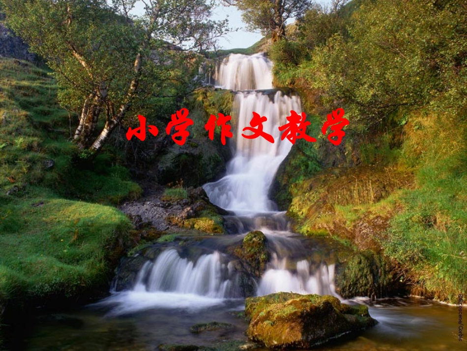 小学作文教学PPT_第1页