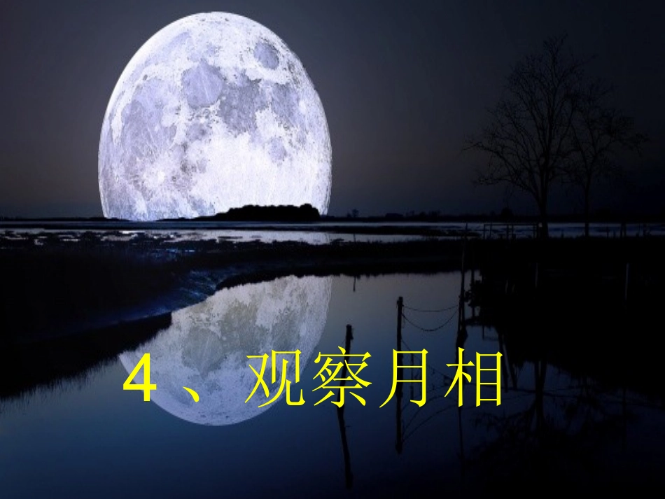 4、观察月相 (精品课件)_第2页