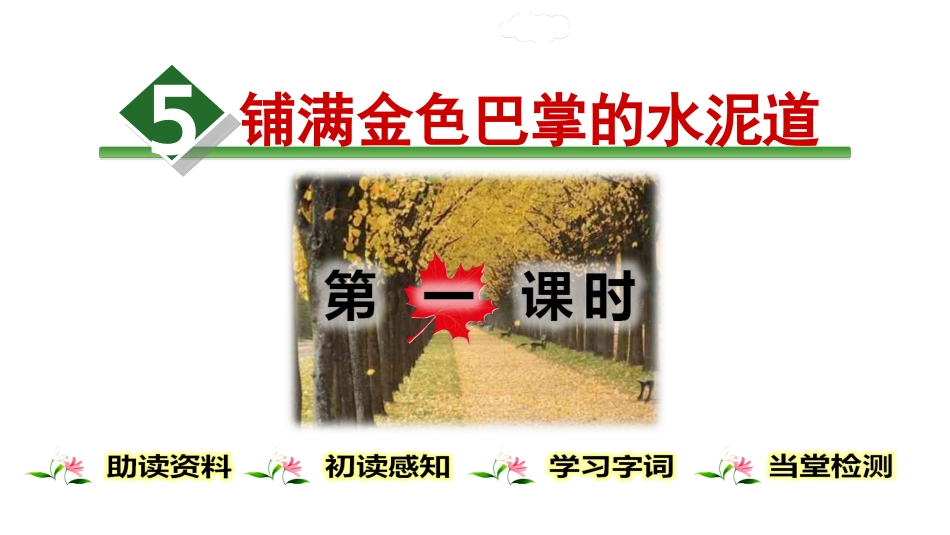 5.铺满金色巴掌的水泥道.(完整)_第1页