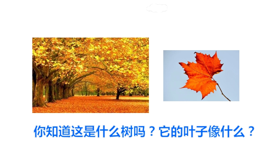 5.铺满金色巴掌的水泥道.(完整)_第2页