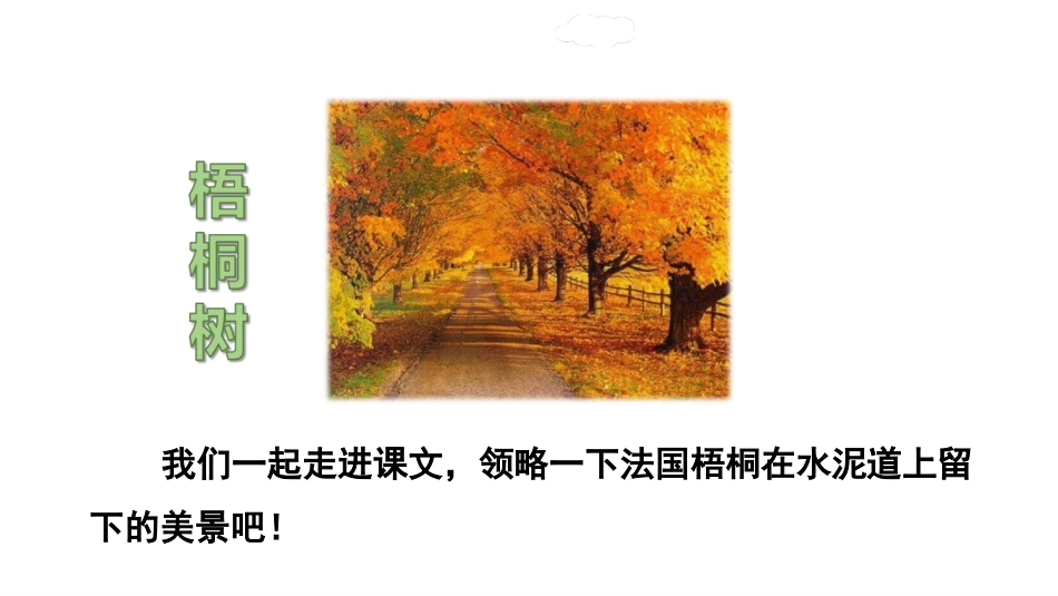 5.铺满金色巴掌的水泥道.(完整)_第3页