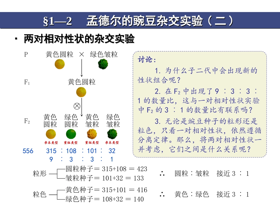 孟德尔的豌豆杂交实验二_第2页
