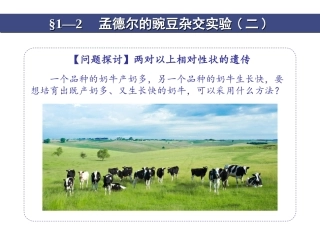 孟德尔的豌豆杂交实验二