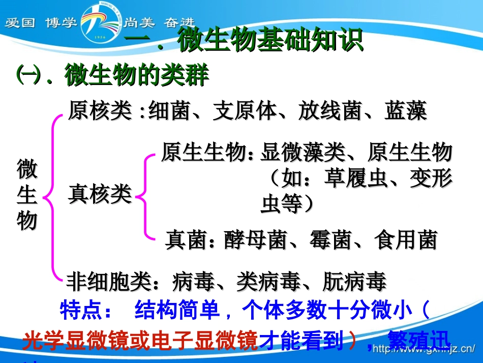 专题21微生物的培养与应用_第3页