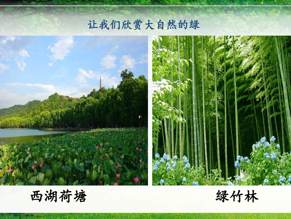 《绿》  朱自清    散文赏析  修辞_第2页