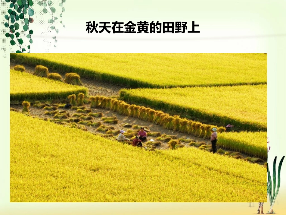 思品《秋天在哪里》课件_第3页