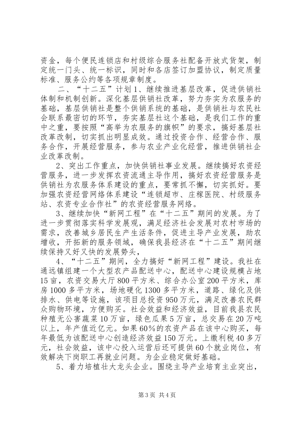 供销社“十一五”工作总结及“十二五”发展规划_第3页