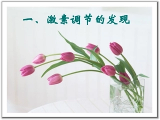 激素调节的发现