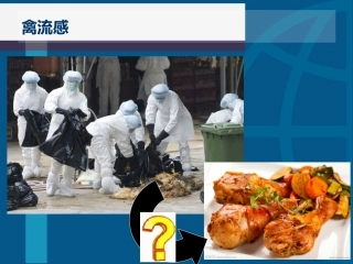 合理营养与食品安全