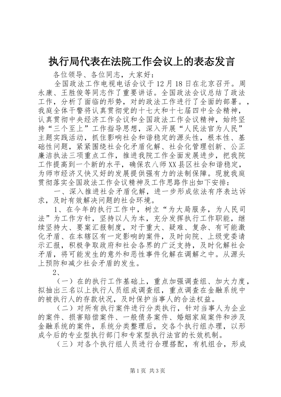 执行局代表在法院工作会议上的表态发言_第1页