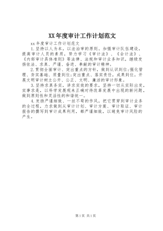 XX年度审计工作计划范文