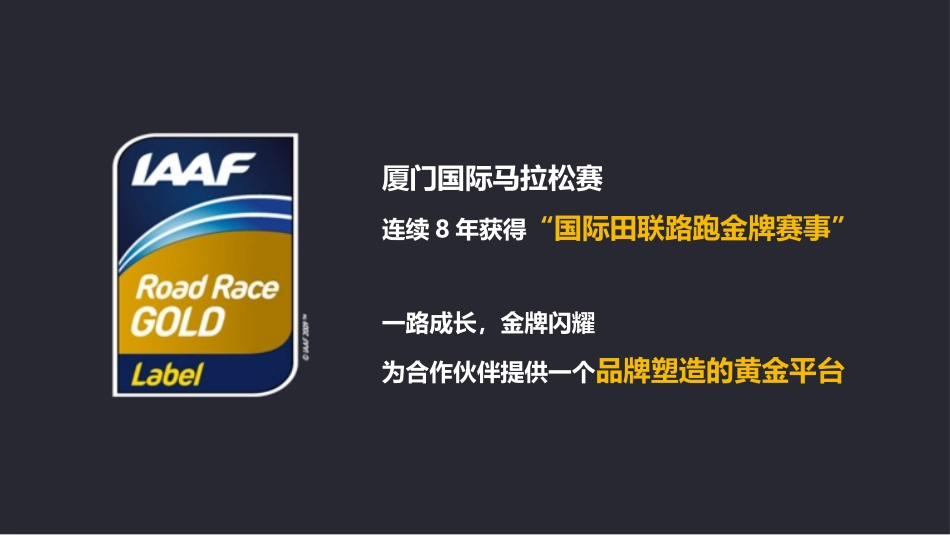 2016厦门国际马拉松整案策划运作方案(内部文件)_第2页