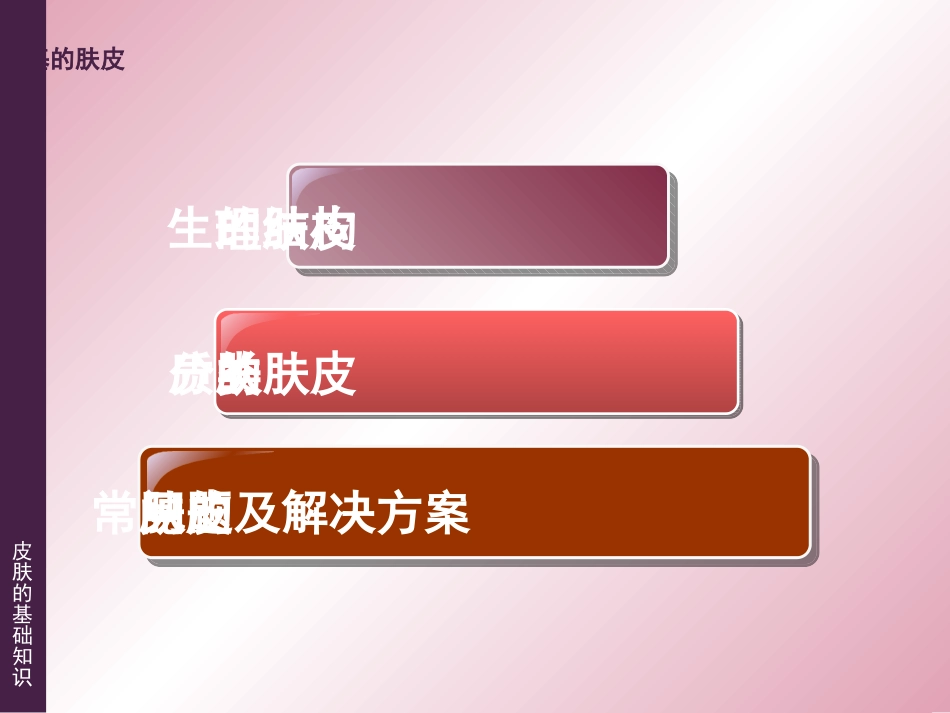 《皮肤的基础知识》_第2页