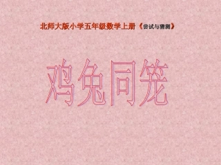 《尝试与猜测》第1节：《鸡兔同笼》(北师大版五年级数学上册)