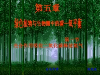 《光合作用吸收二氧化碳释放氧气》ppt