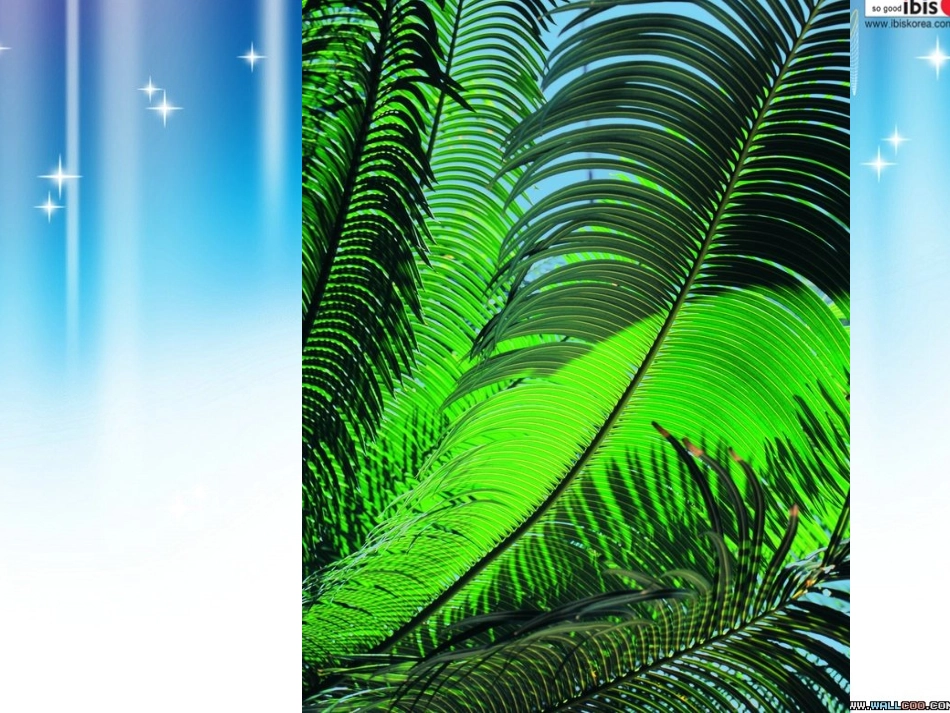 点与线的魅力_第3页