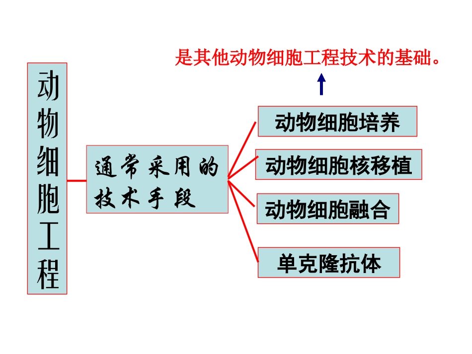动物细胞培养和核移植技术上课_第2页