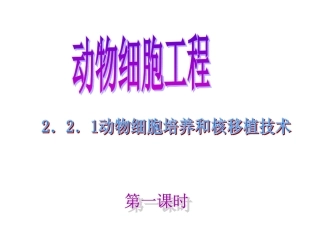 动物细胞培养和核移植技术上课