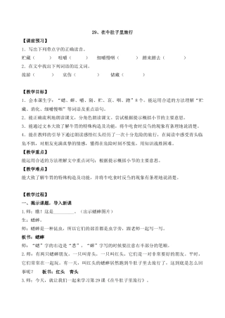 29在牛肚子里旅行