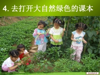 去打开大自然绿色