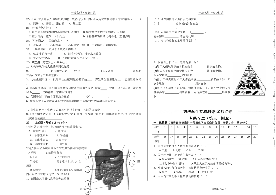 人教版生物七年级下册月考及期中期末试卷（含答案）_第2页
