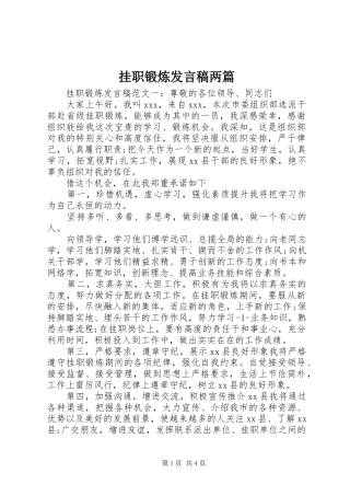 挂职锻炼发言稿两篇