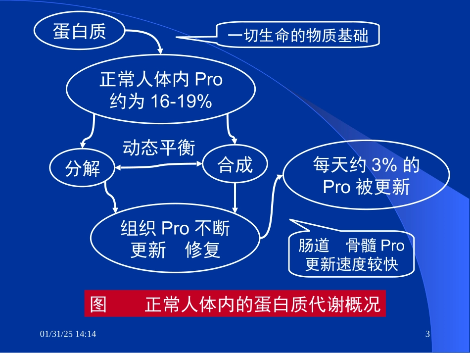 1-营养与食品卫生学-营养学_第3页