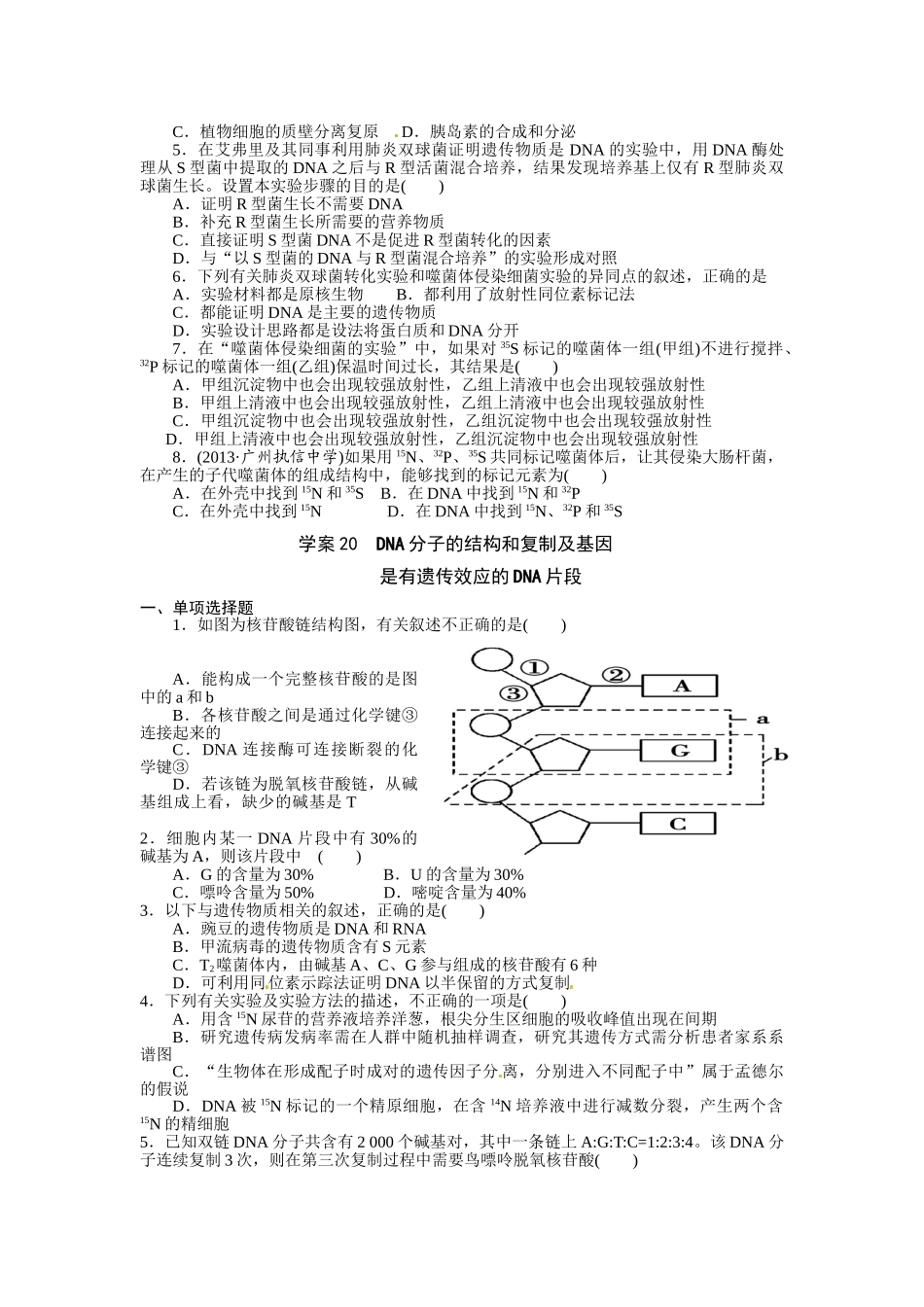 基因和DNA分子_第3页