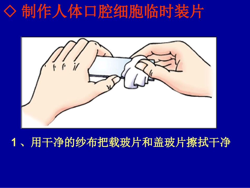 ◇制作人体口腔细胞临时装片_第1页