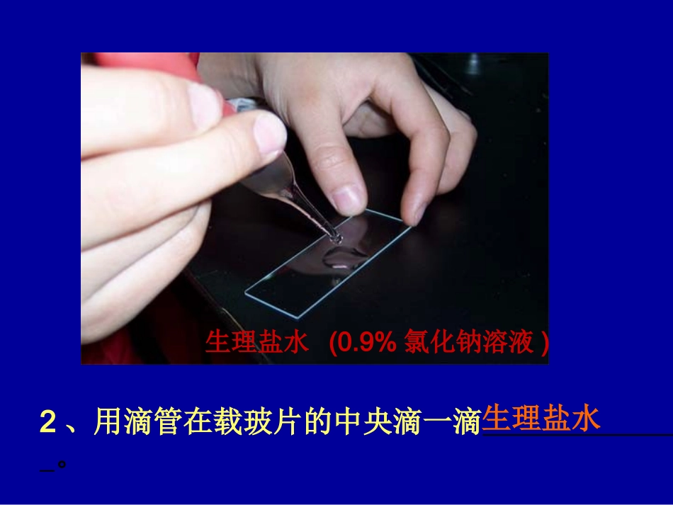 ◇制作人体口腔细胞临时装片_第2页