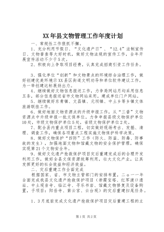 XX年县文物管理工作年度计划