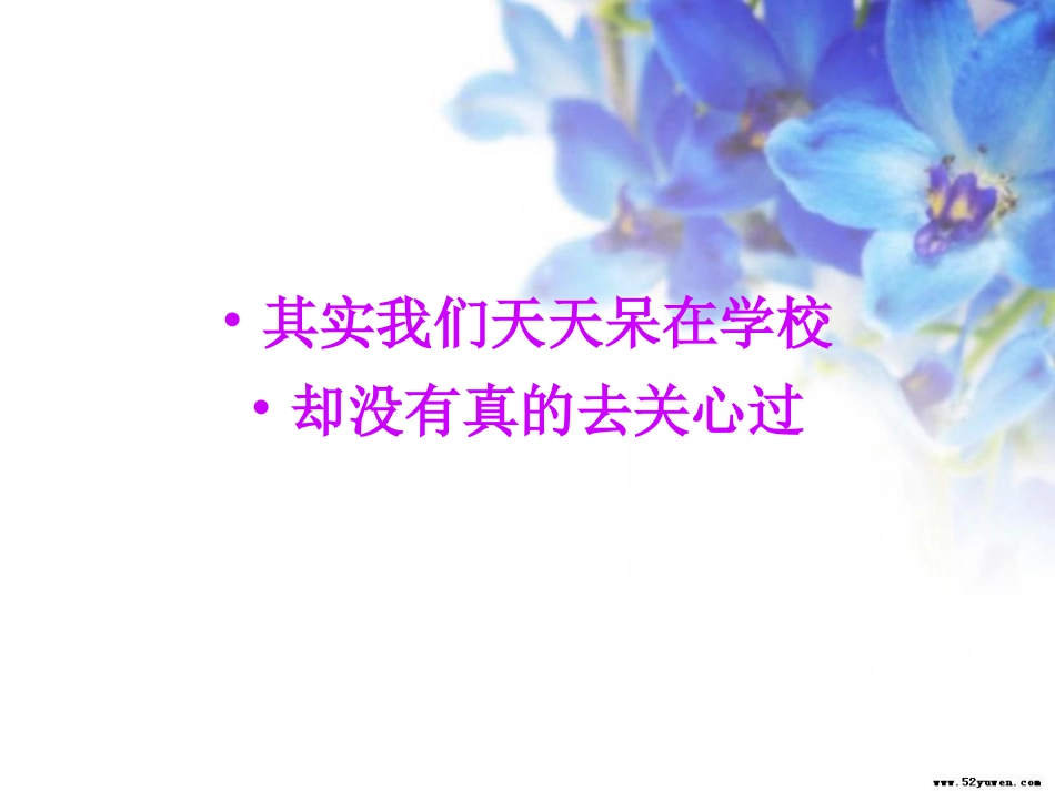 《绿化美化 爱我校园》主题班会课件_第3页