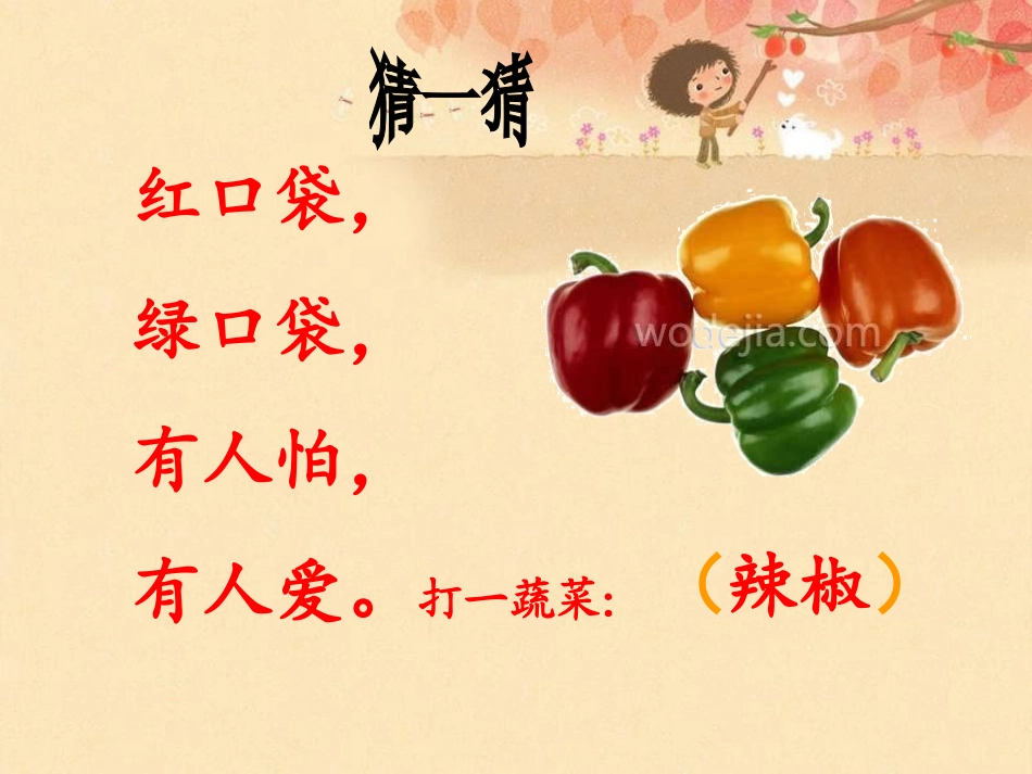 人教版二年级语文《菜园里》课件_第2页