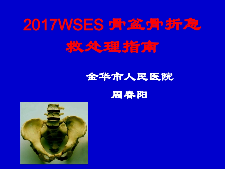 2017骨盆骨折的处理指南_第1页