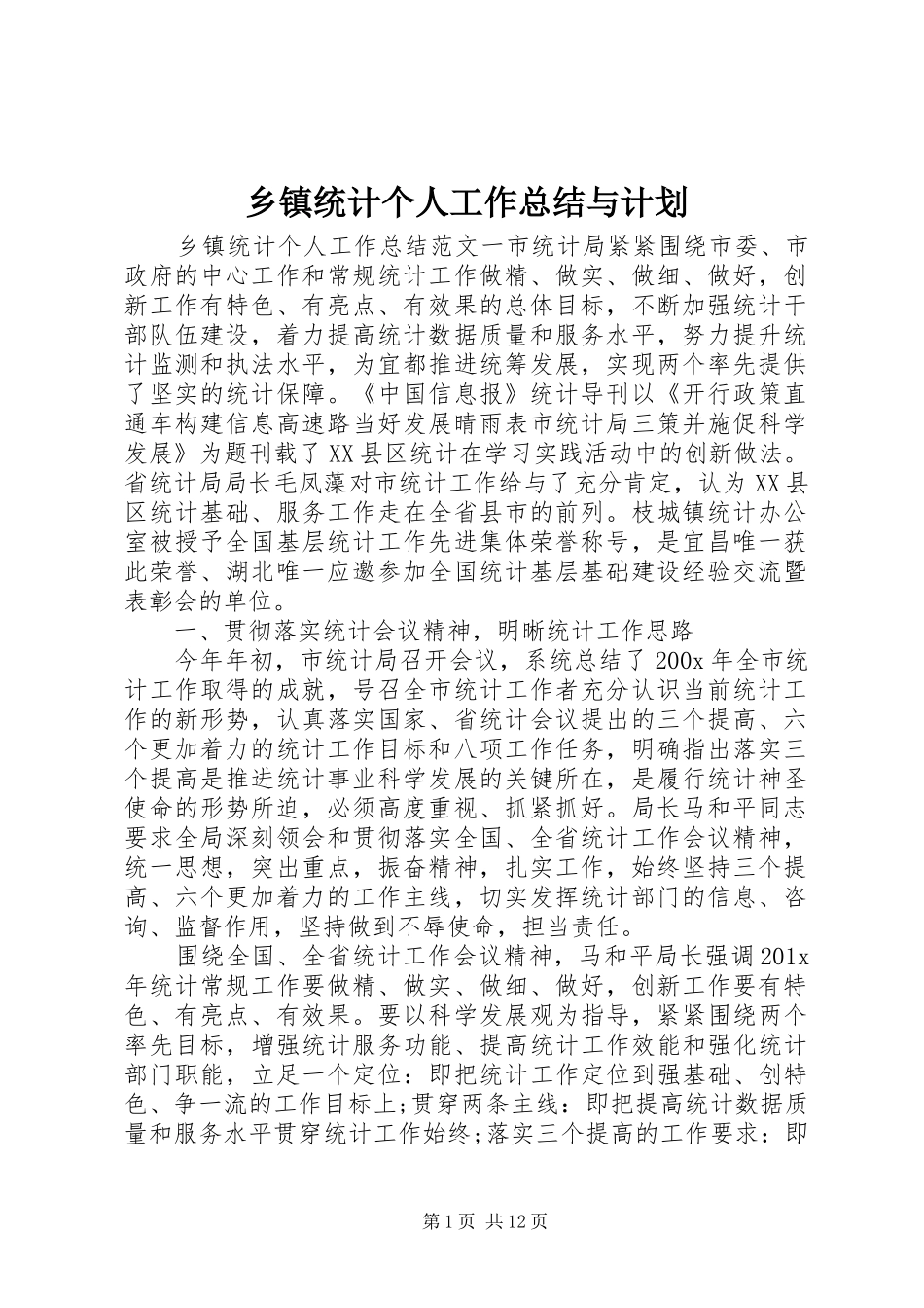 乡镇统计个人工作总结与计划_第1页