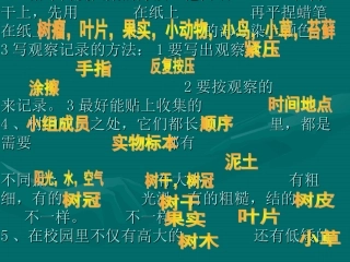 2、拓印树皮图案的方法：把白纸 在树干上,先用 在纸上 再平捏蜡