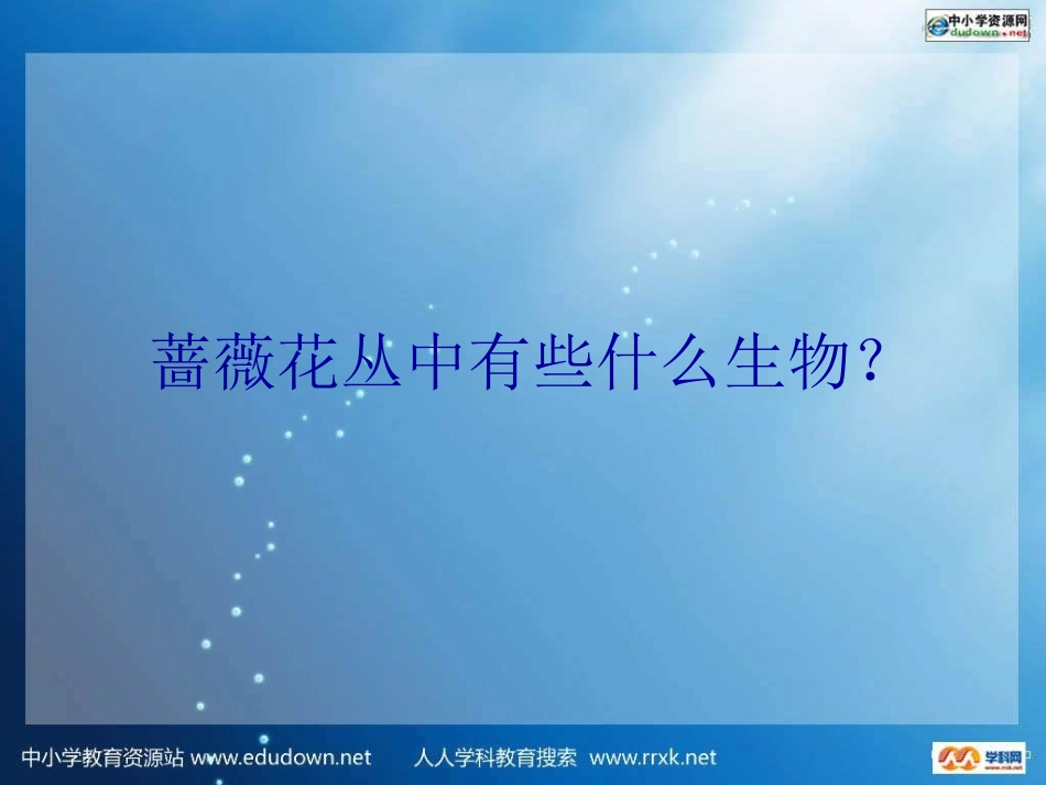 《食物链和食物网》ppt课件_第3页