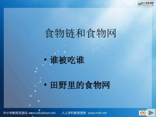 《食物链和食物网》ppt课件