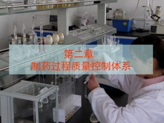 02制药过程质量控制体系