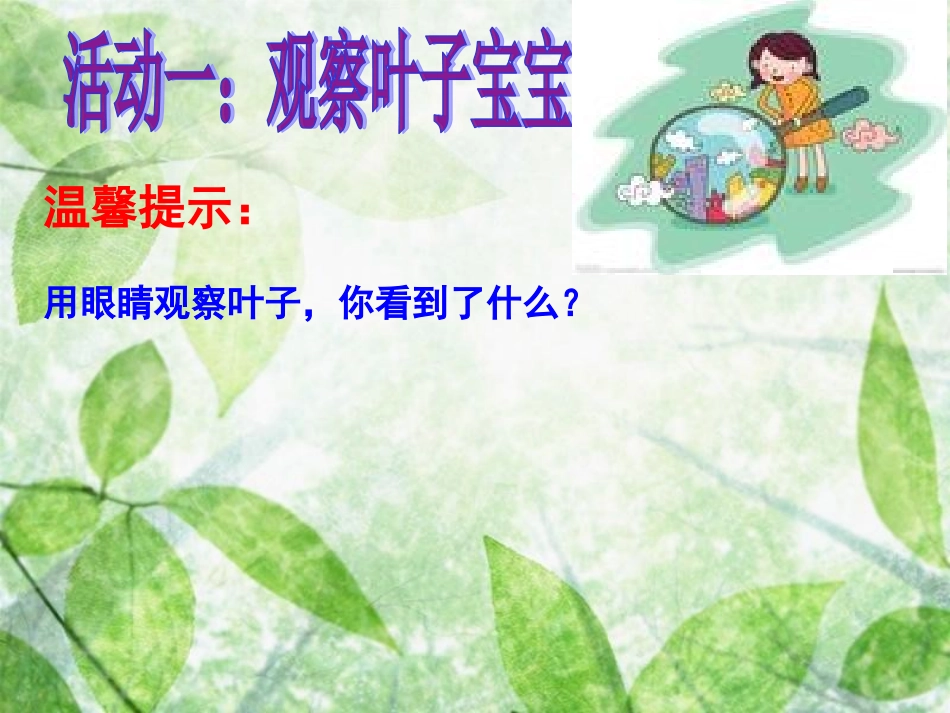 3观察叶PPT_第3页