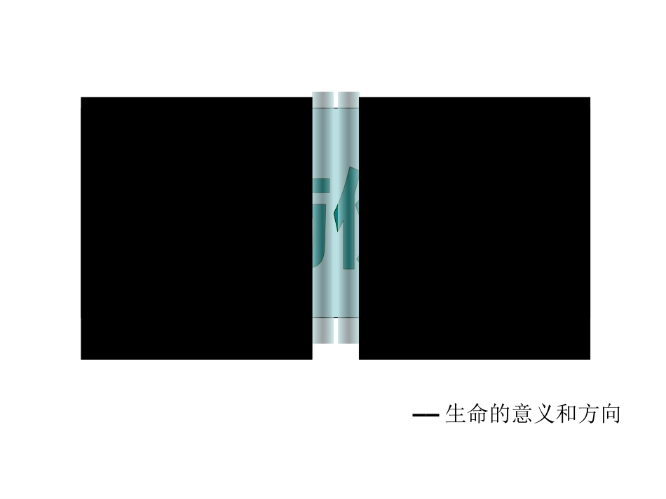 2017价值与价值观ppt_第2页