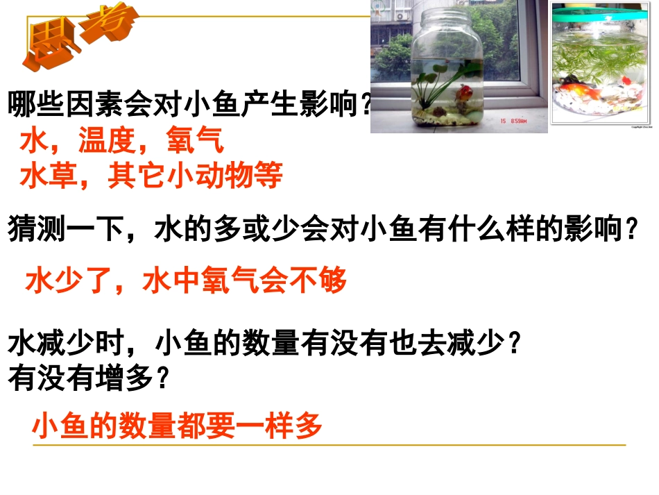 (教科版)五年级科学上册课件 改变生态瓶 1_第2页