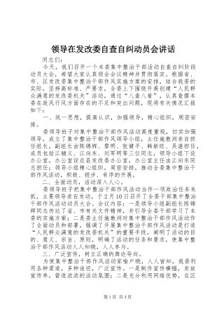 领导在发改委自查自纠动员会讲话