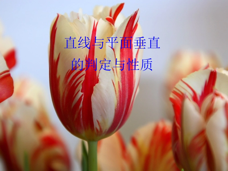 2.3.1直线与平面垂直的判定与性质_第1页